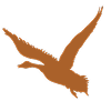 RGBIcon_Rust Orange