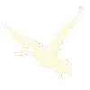 RGBIcon_Warm Ivory